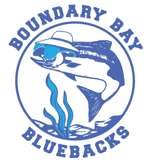 Boundary Bay Bluebacks